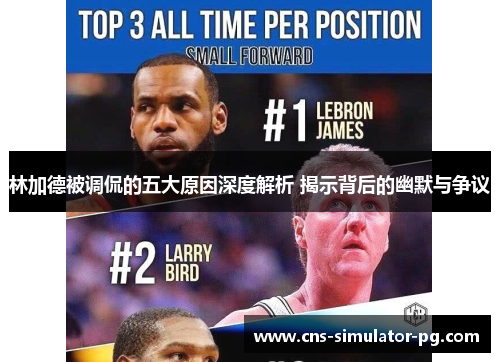 林加德被调侃的五大原因深度解析 揭示背后的幽默与争议 林加德被调侃的五大原因深度解析 揭示背后的幽默与争议