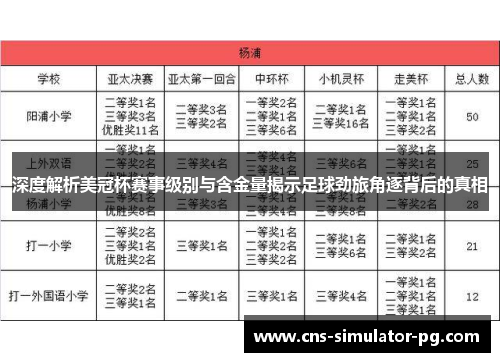 深度解析美冠杯赛事级别与含金量揭示足球劲旅角逐背后的真相