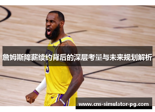 詹姆斯降薪续约背后的深层考量与未来规划解析