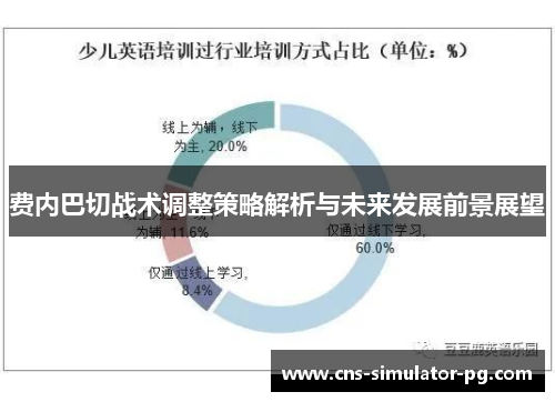 费内巴切战术调整策略解析与未来发展前景展望